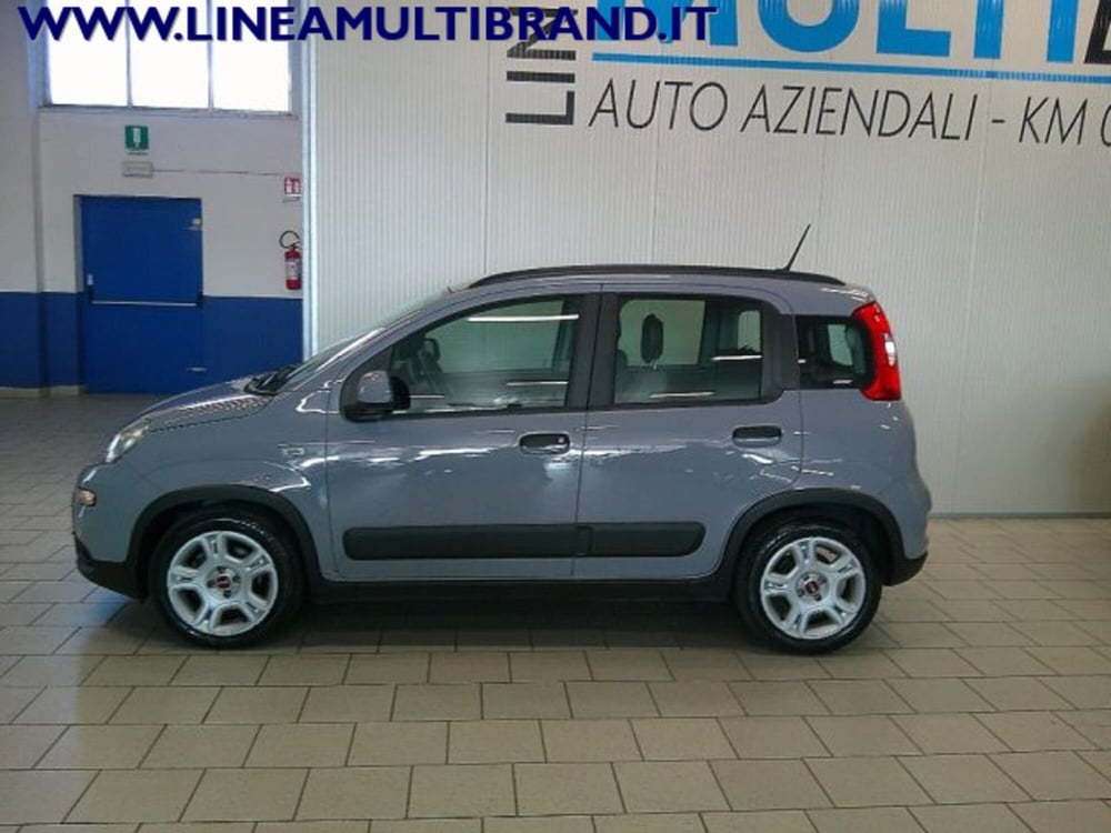 Fiat Panda Cross usata a Piacenza (9)