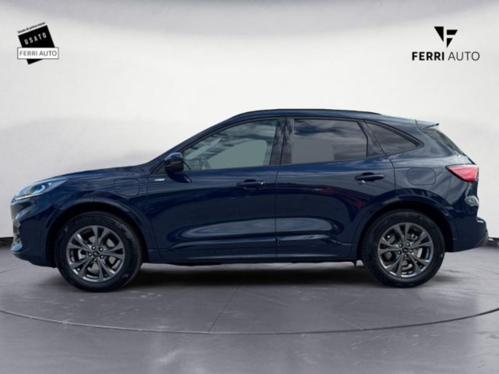 Ford Kuga usata a Treviso (6)
