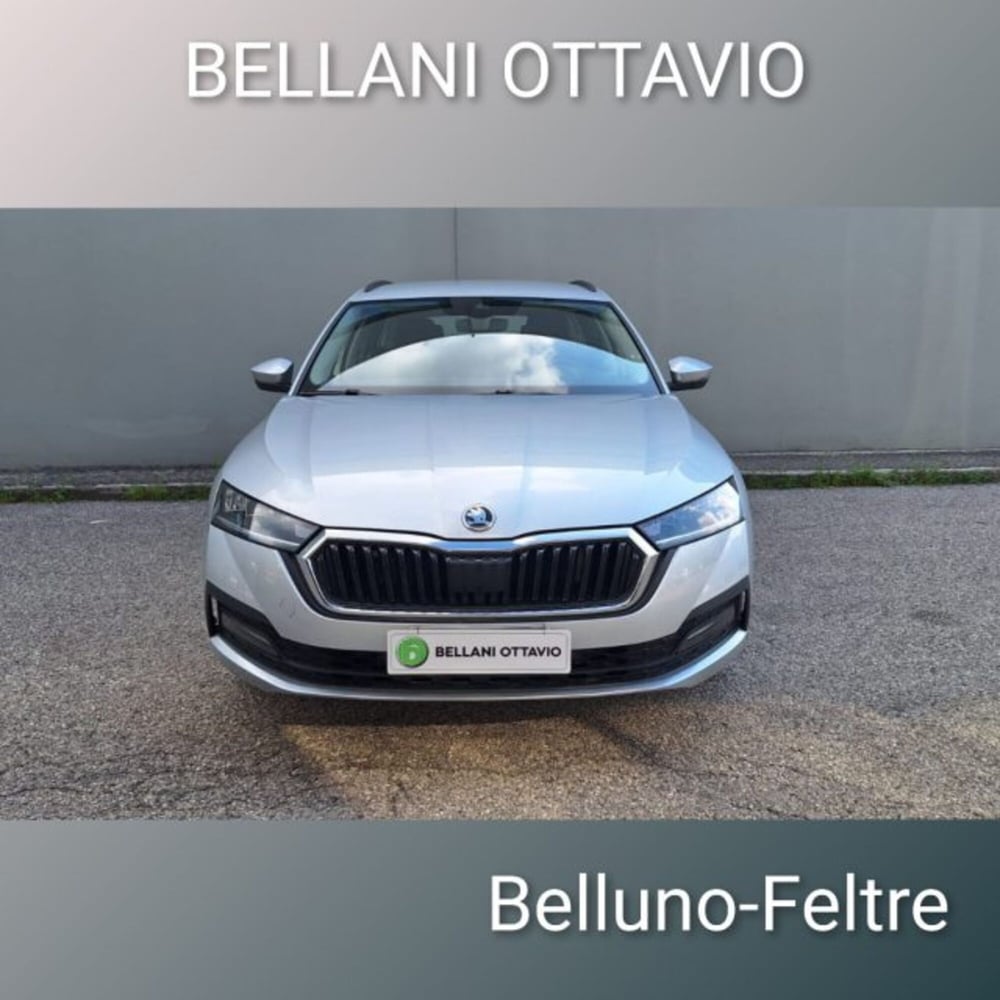 Skoda Octavia Station Wagon usata a Belluno (2)