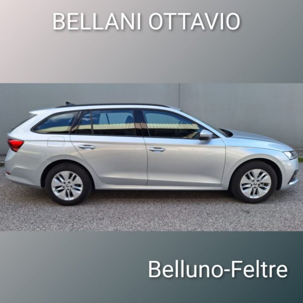 Skoda Octavia Station Wagon usata a Belluno (4)