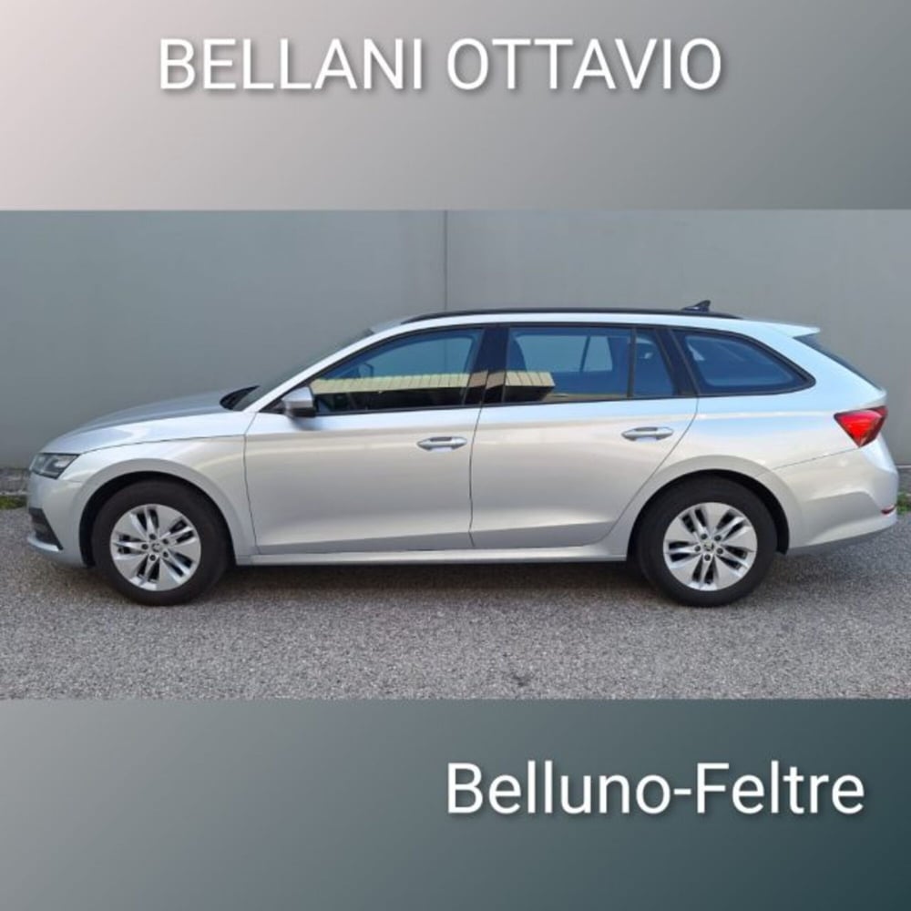 Skoda Octavia Station Wagon usata a Belluno (5)