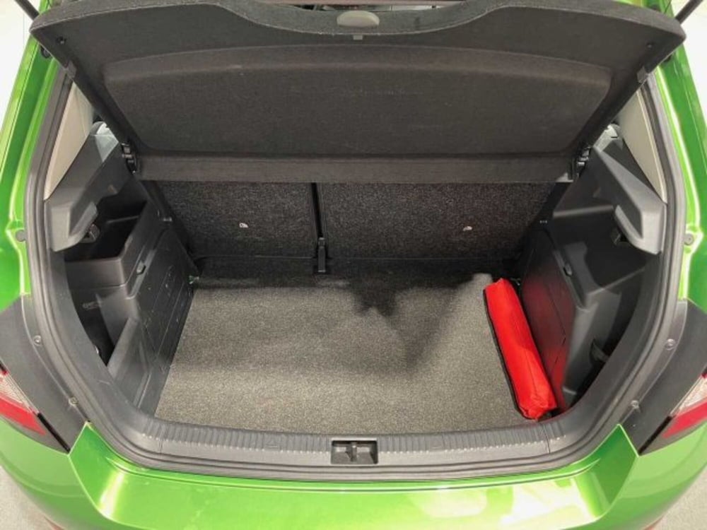 Skoda Fabia usata a Sondrio (14)
