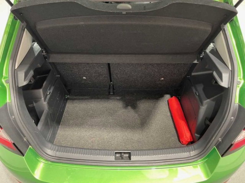 Skoda Fabia usata a Sondrio (14)