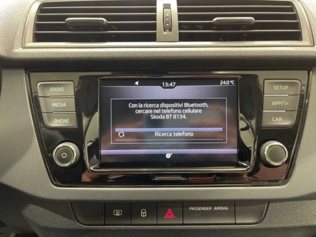 Skoda Fabia usata a Sondrio (17)