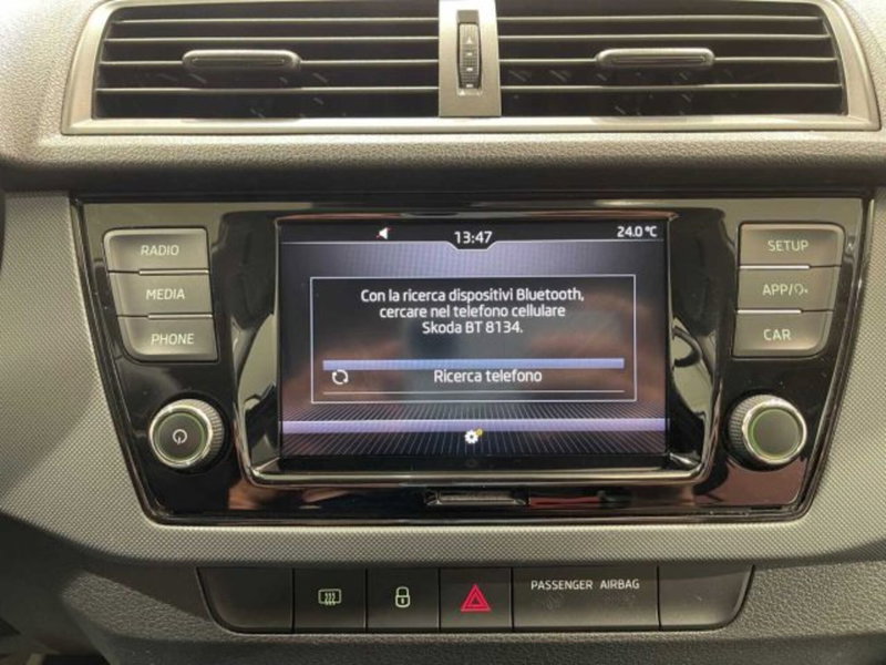 Skoda Fabia usata a Sondrio (17)