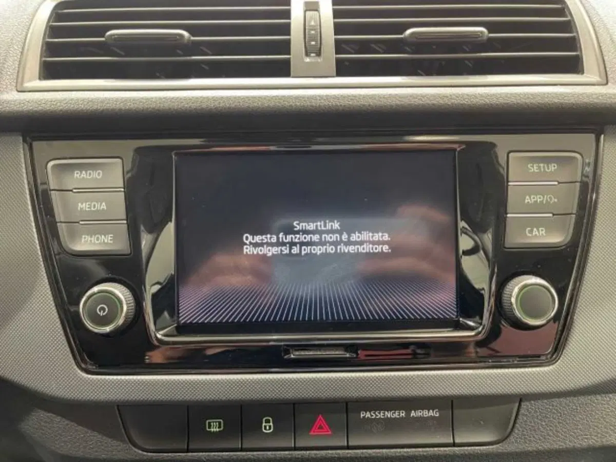 Skoda Fabia usata a Sondrio (18)