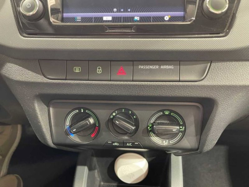 Skoda Fabia usata a Sondrio (19)