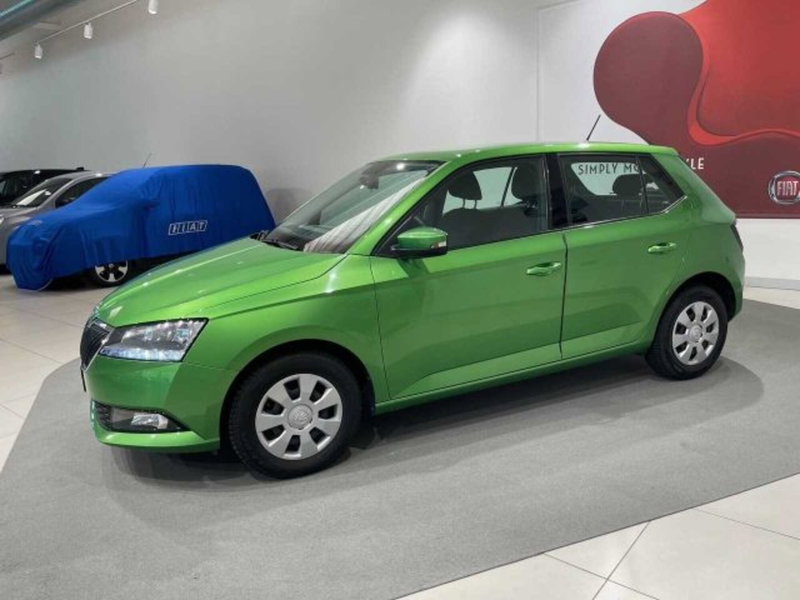Skoda Fabia usata a Sondrio (2)