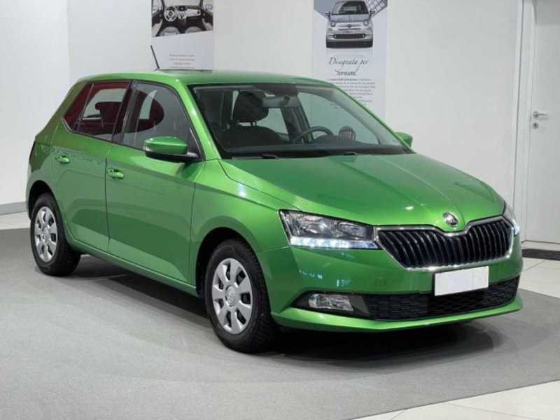 Skoda Fabia usata a Sondrio (6)