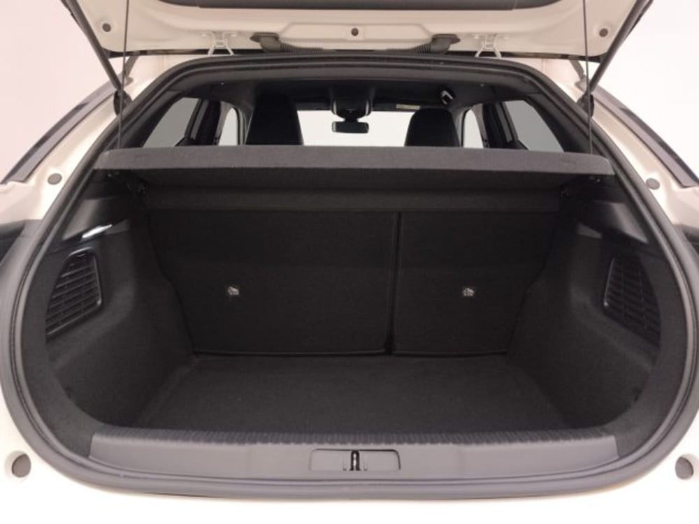 Ds DS 3 usata a Torino (18)