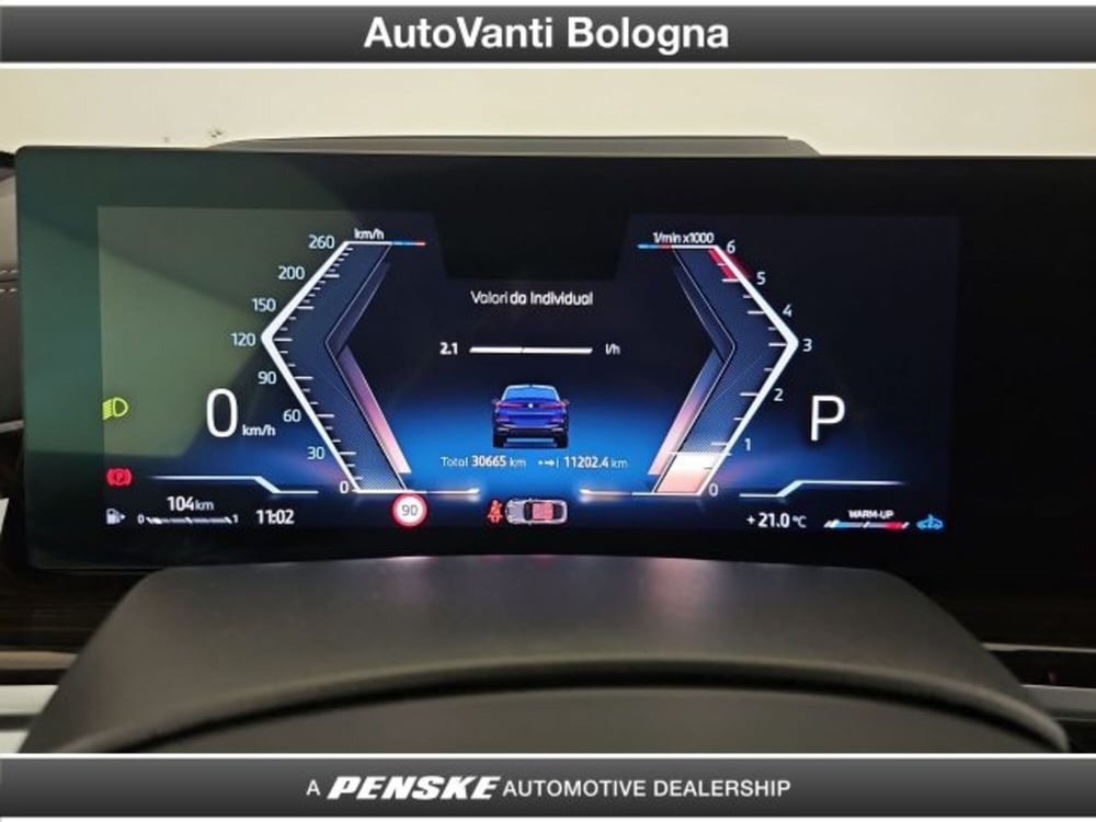 BMW X6 usata a Bologna (15)