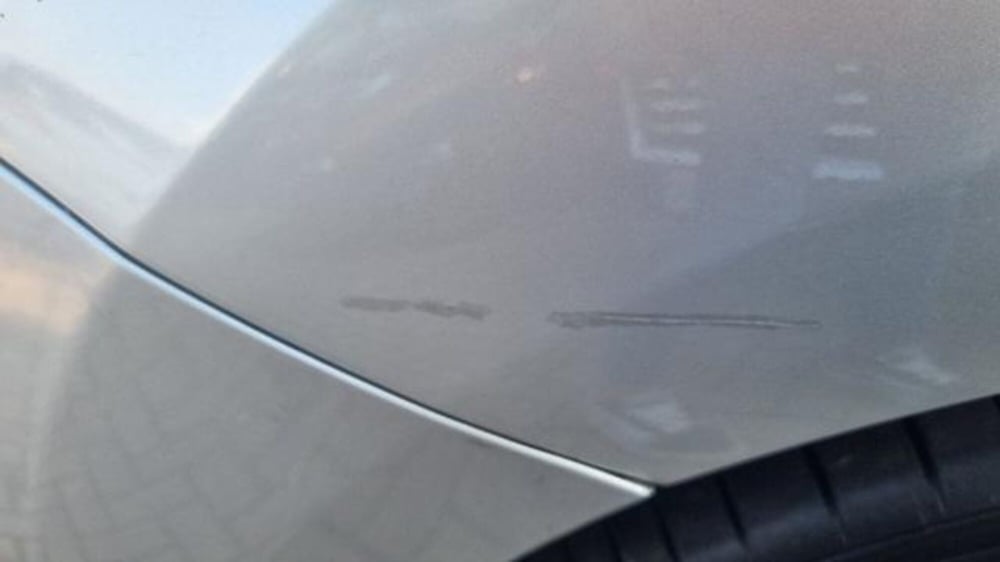 Citroen C3 usata a Savona (7)