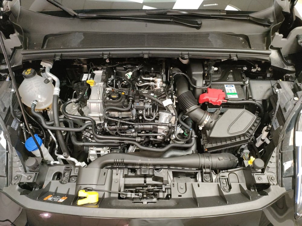 Ford Puma usata a Teramo (10)