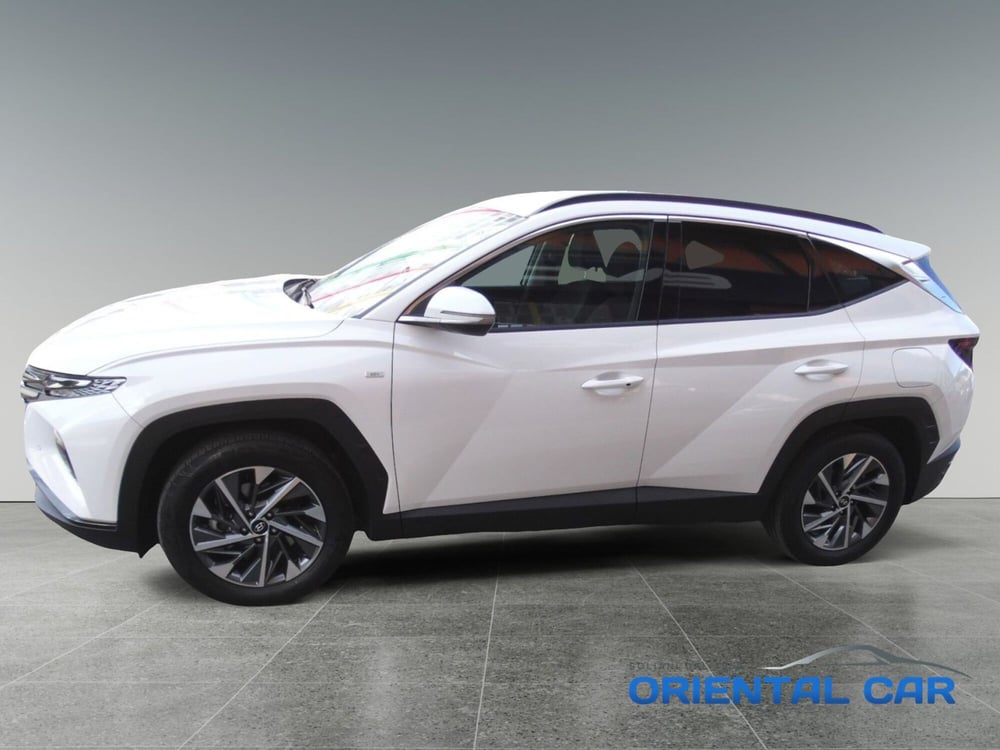 Hyundai Tucson usata a La Spezia (2)