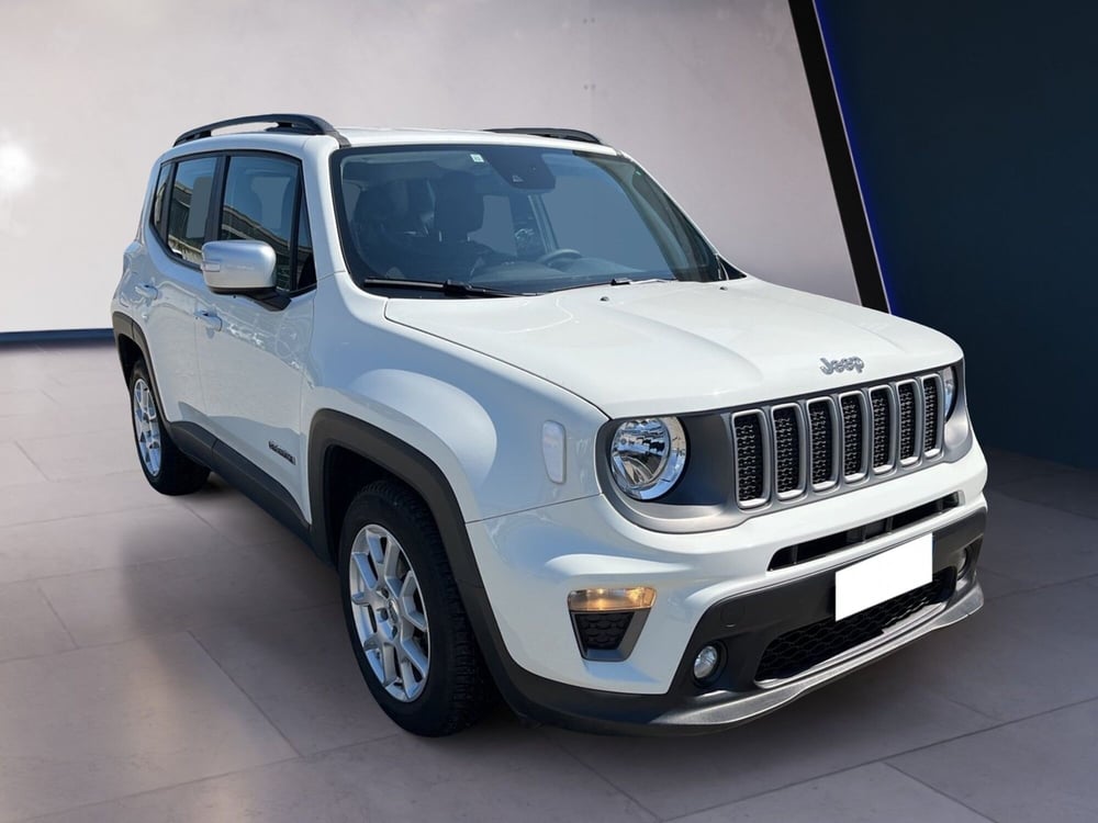 Jeep Renegade usata a Torino (3)