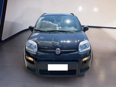 Fiat Panda 1.0 firefly hybrid s&amp;s 70cv 5p.ti del 2022 usata a Torino