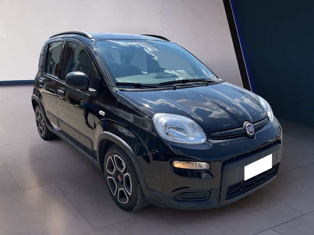 Fiat Panda usata a Torino (3)