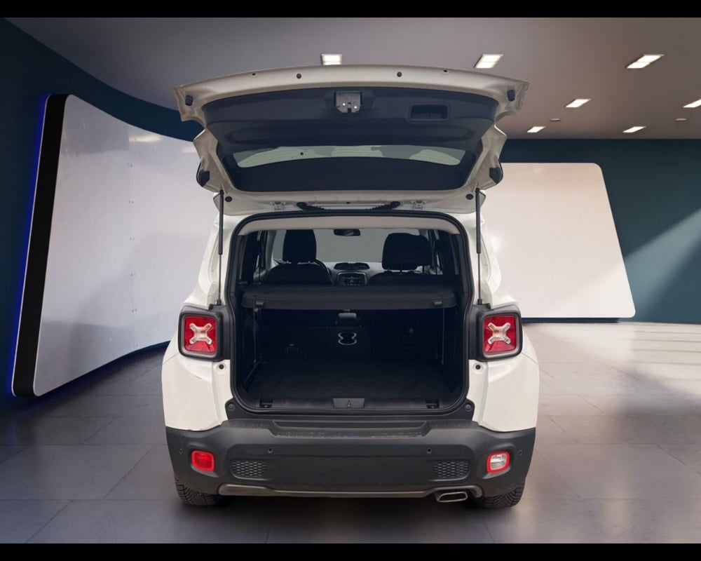 Jeep Renegade usata a Torino (10)