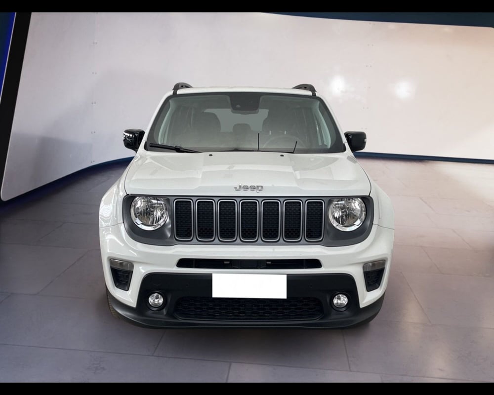 Jeep Renegade usata a Torino