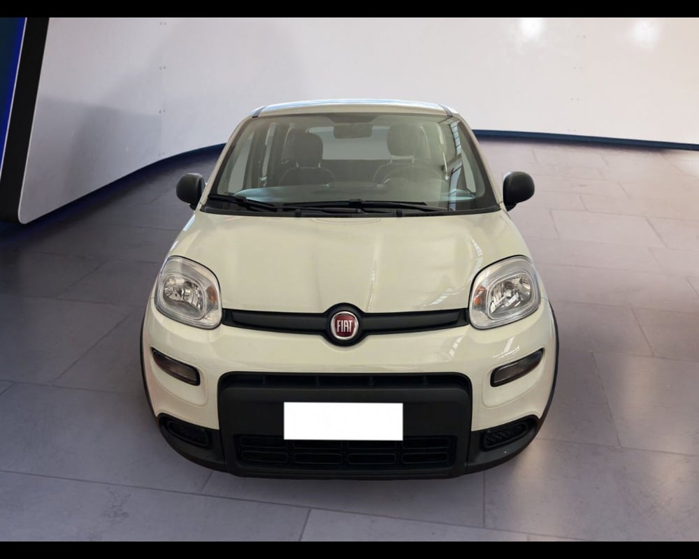 Fiat Panda usata a Torino
