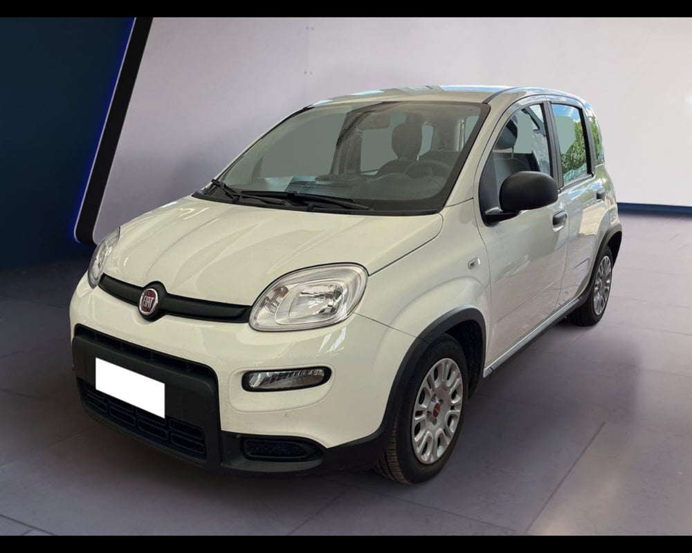 Fiat Panda usata a Torino (6)