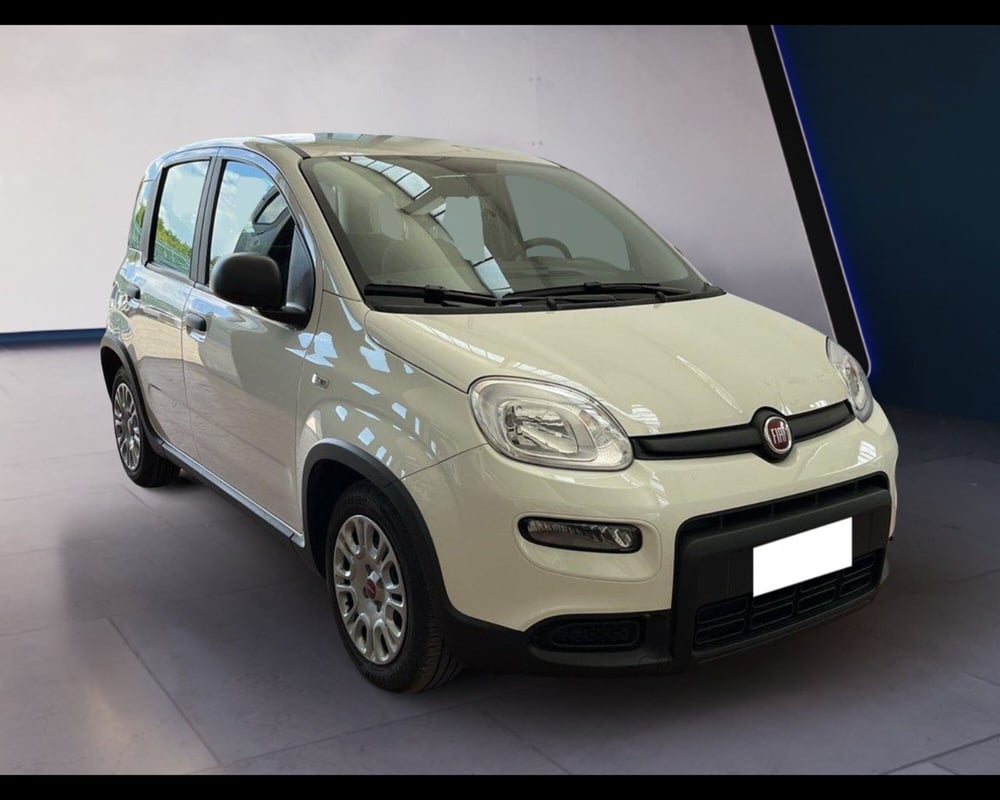 Fiat Panda usata a Torino (7)
