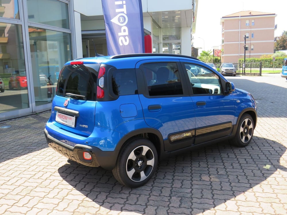 Fiat Panda Cross nuova a Monza e Brianza (6)