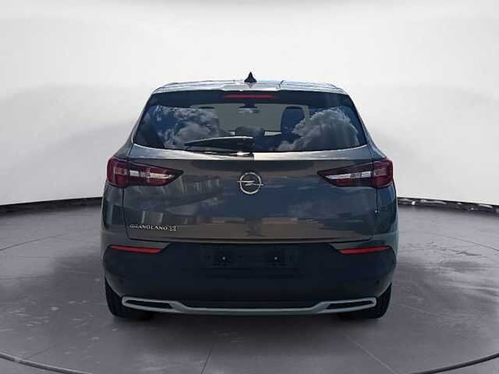 Opel Grandland X usata a Potenza (4)