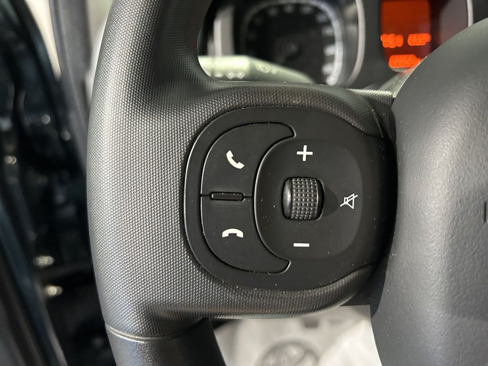 Fiat Panda Cross usata a Milano (15)