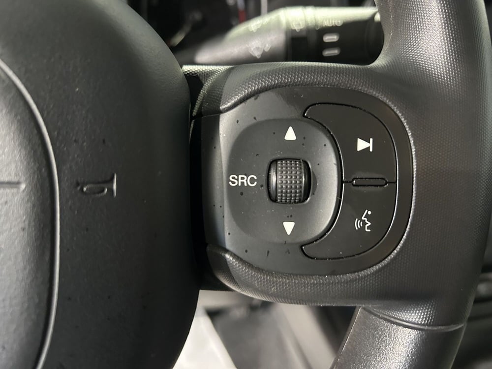 Fiat Panda Cross usata a Milano (16)