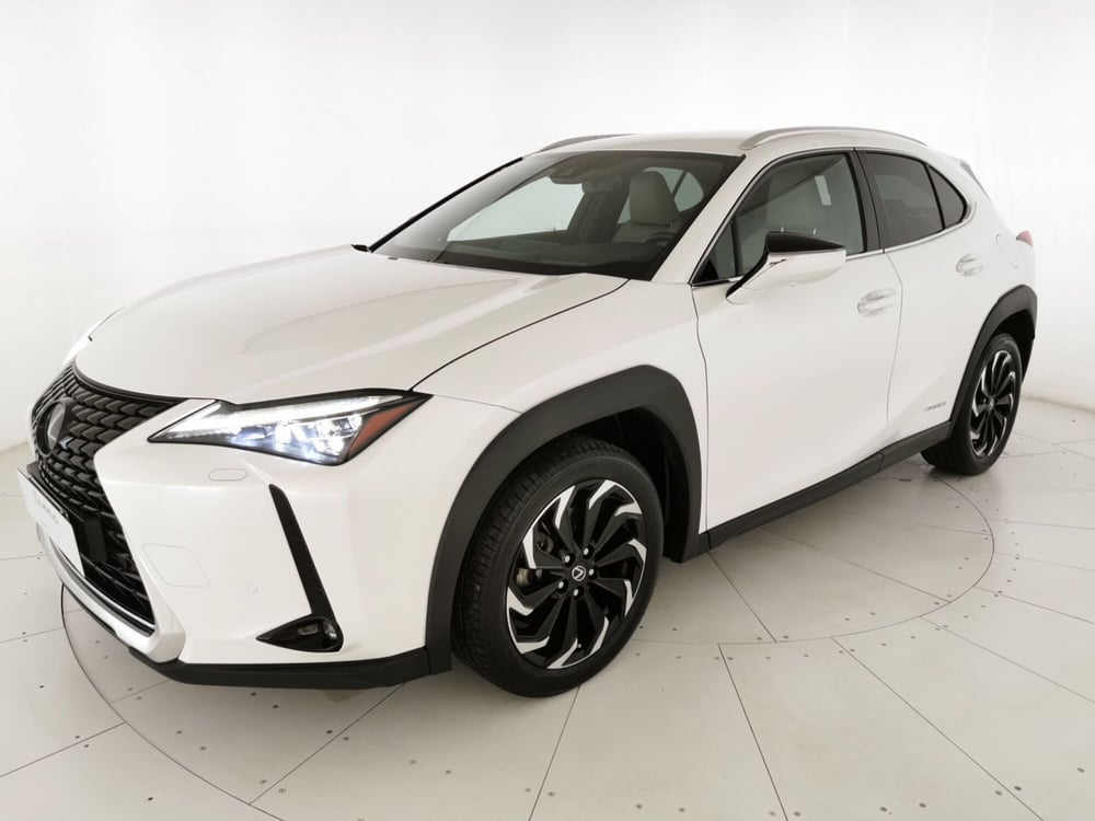 Lexus UX usata a Chieti (17)