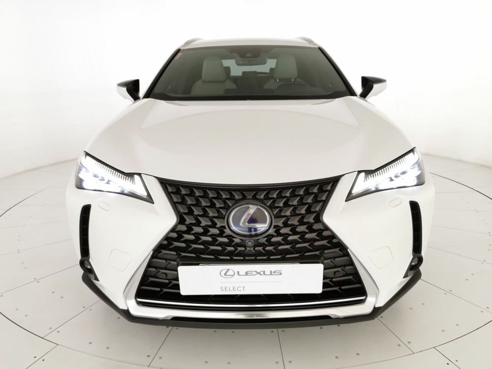 Lexus UX usata a Chieti (18)