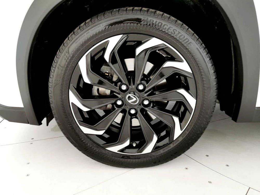 Lexus UX usata a Chieti (19)