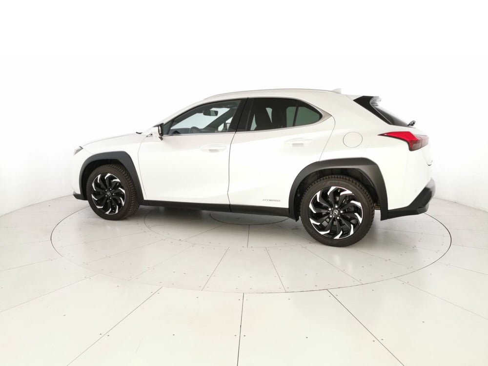 Lexus UX usata a Chieti (2)