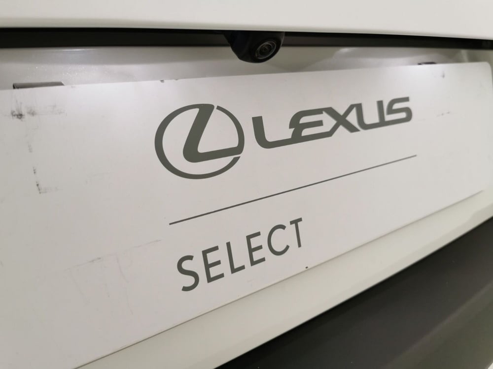 Lexus UX usata a Chieti (20)