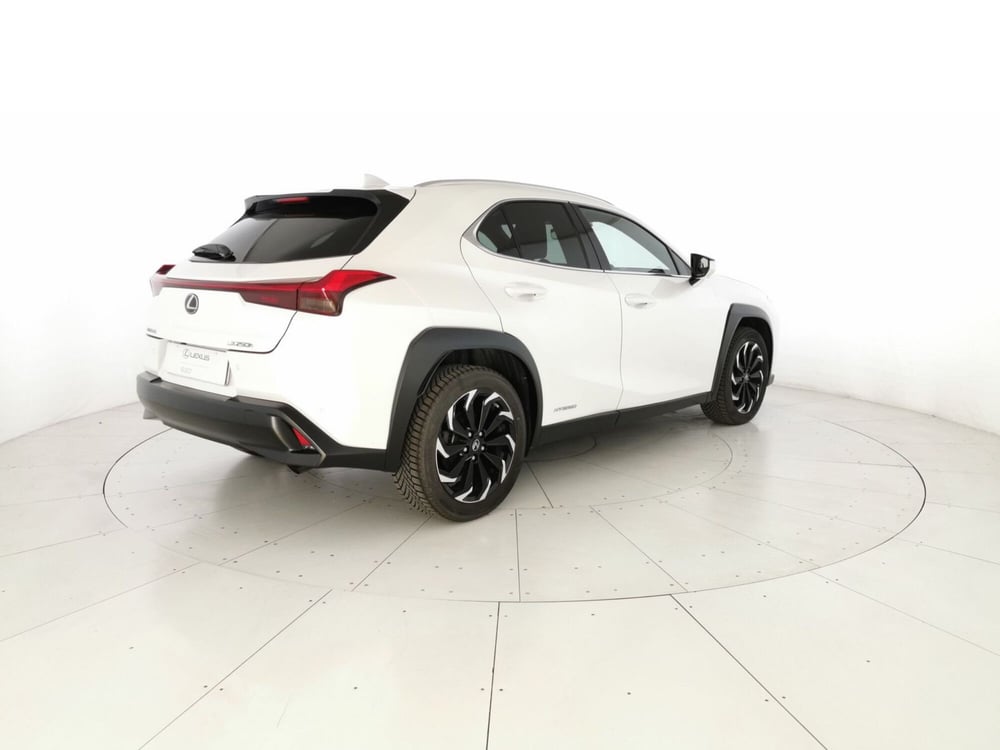 Lexus UX usata a Chieti (3)
