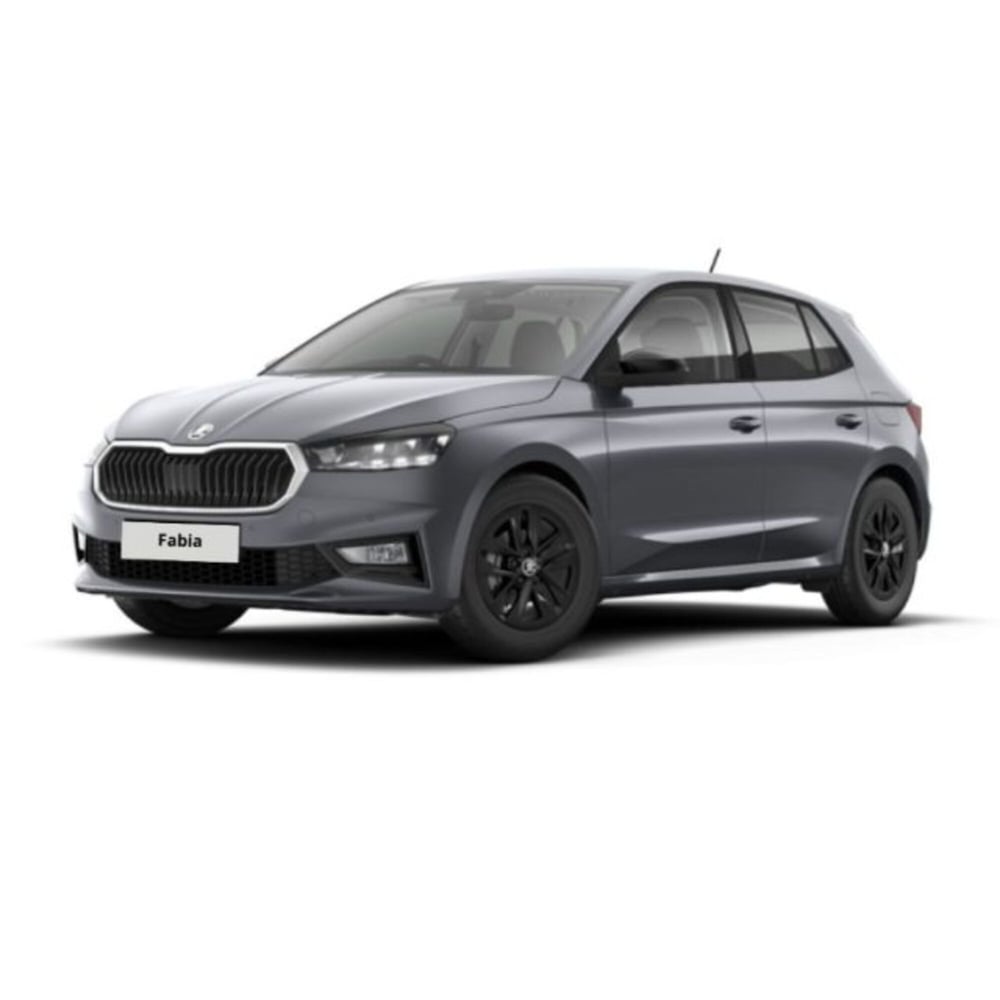 Skoda Fabia usata a Messina