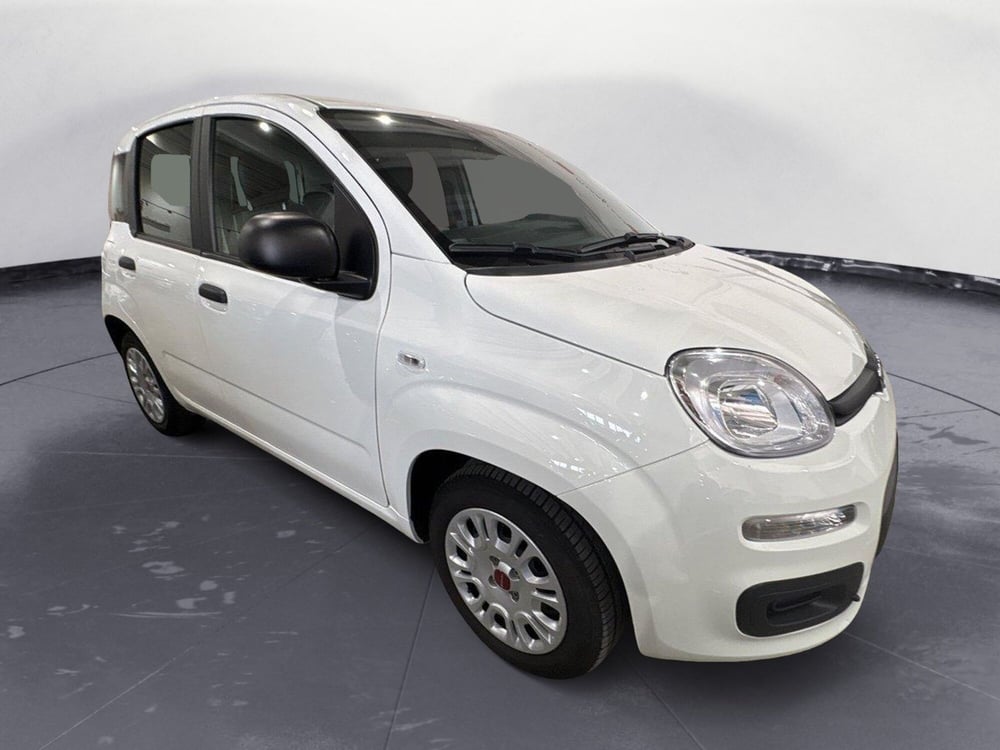 Fiat Panda usata a Agrigento (8)