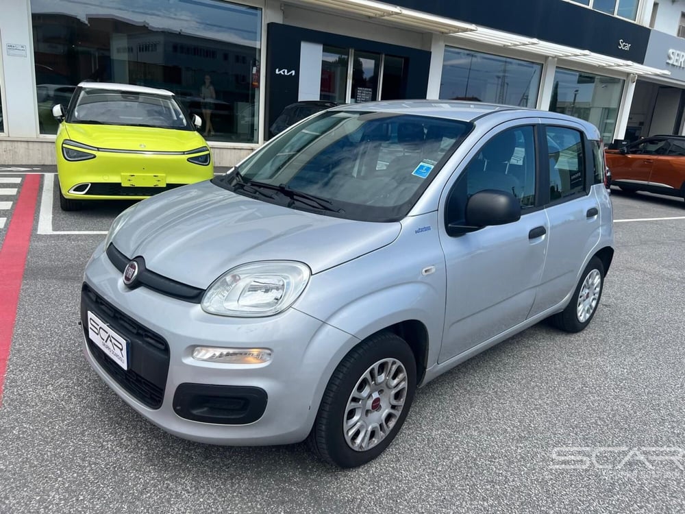 Fiat Panda usata a Livorno