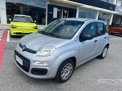 Fiat Panda 1.2 Easy del 2017 usata a Livorno