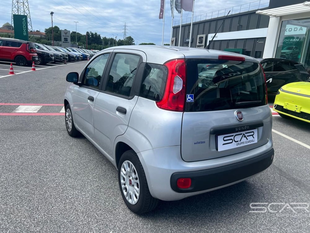 Fiat Panda usata a Livorno (4)