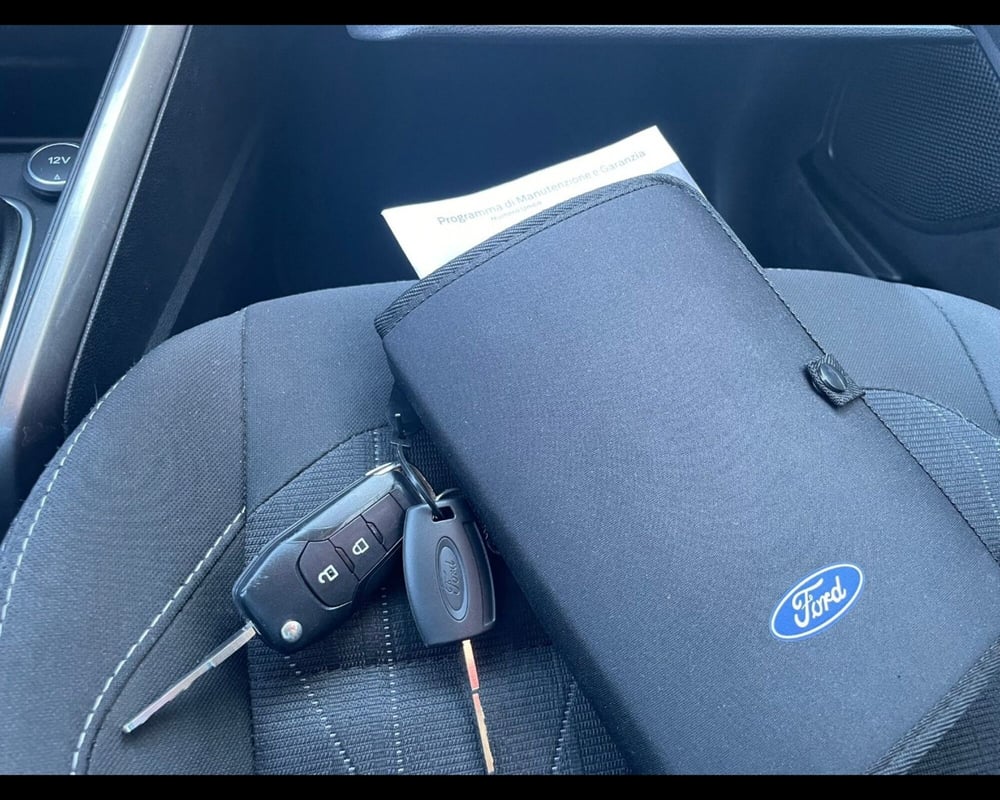 Ford EcoSport usata a Siena (17)