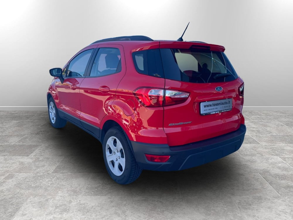 Ford EcoSport usata a Siena (5)