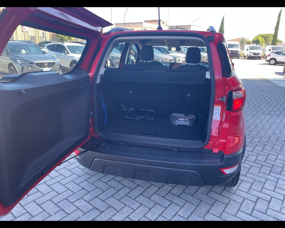 Ford EcoSport usata a Siena (6)