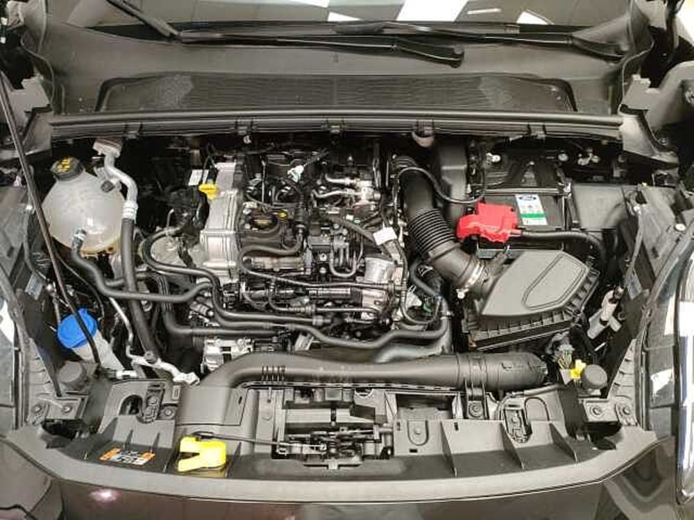 Ford Puma usata a Teramo (10)
