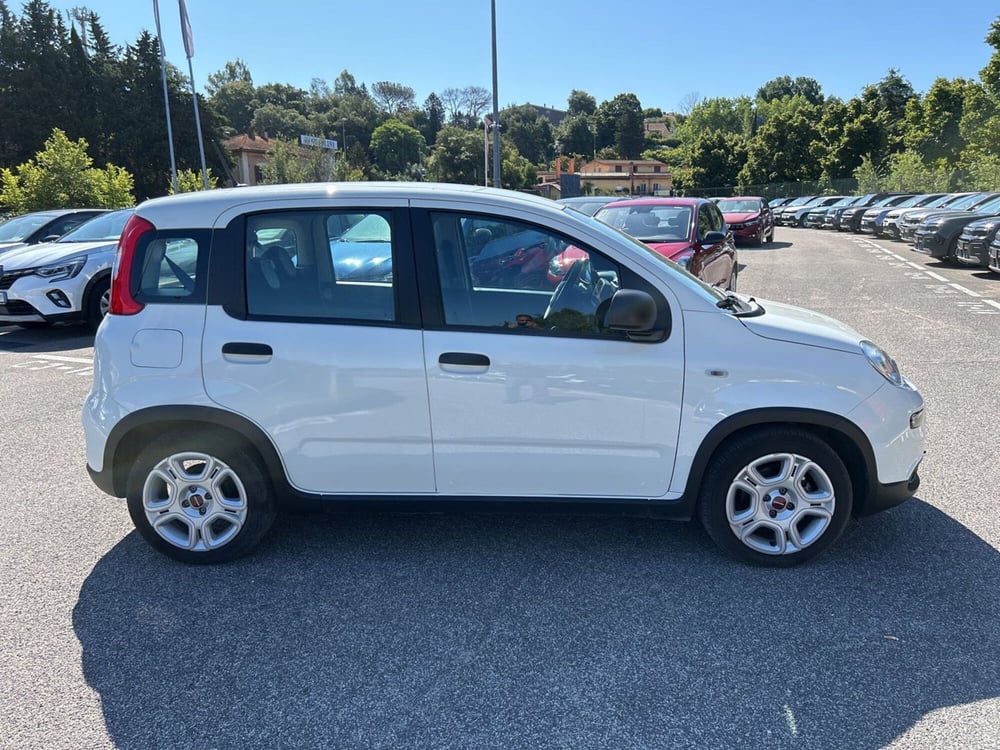 Fiat Panda nuova a Roma (8)