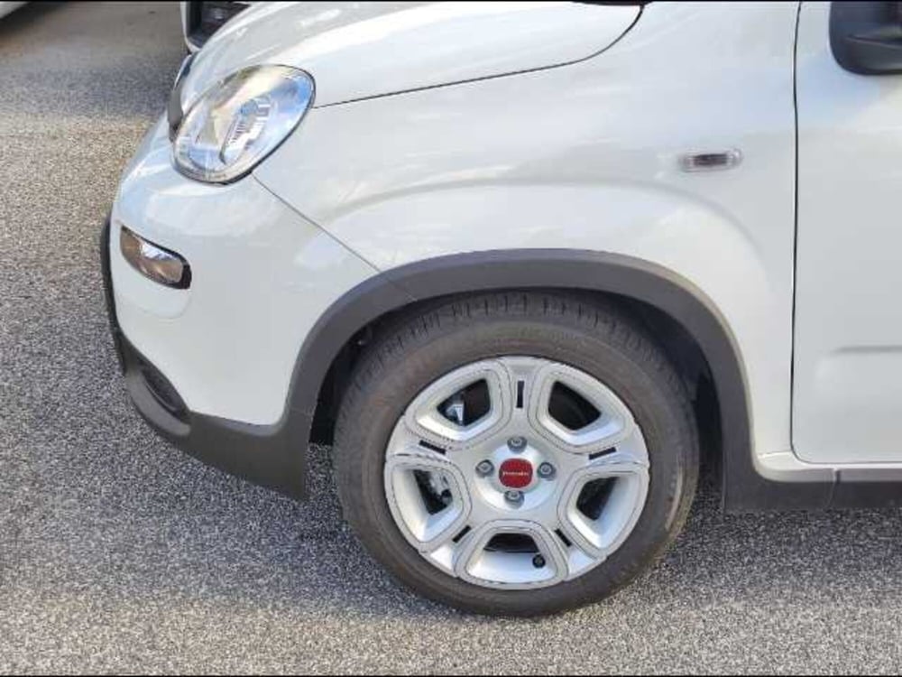 Fiat Panda usata a Roma (15)
