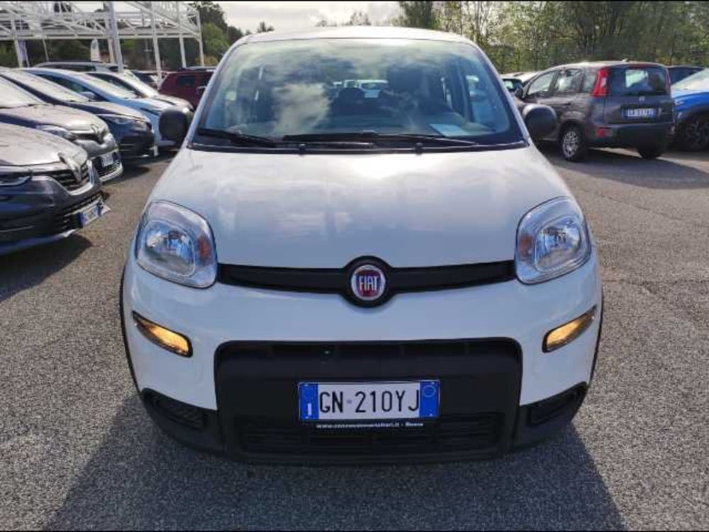 Fiat Panda usata a Roma (2)