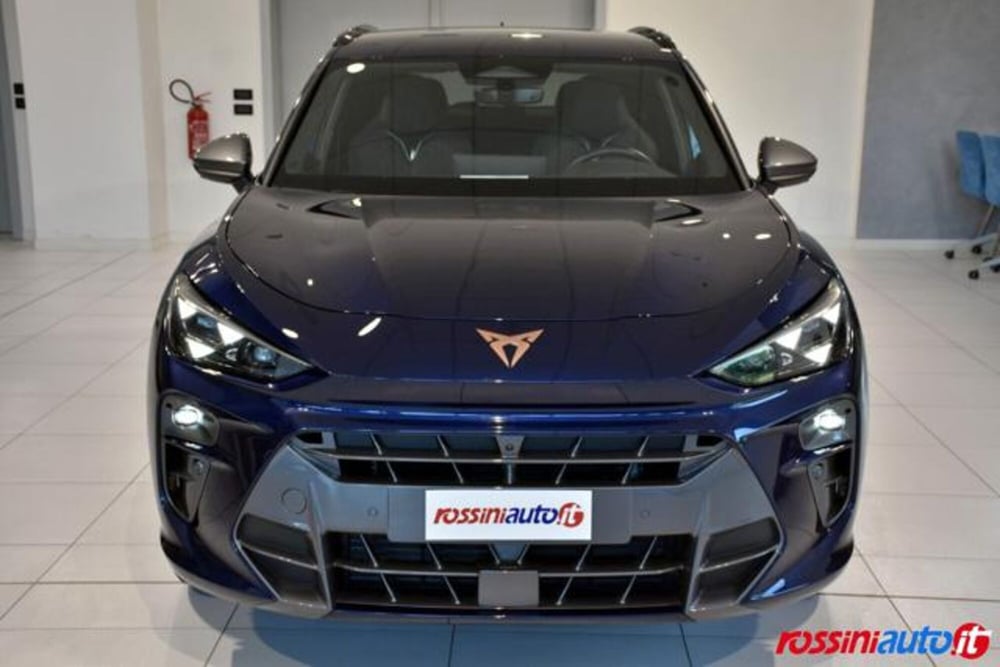 Cupra Terramar usata a Brescia (8)