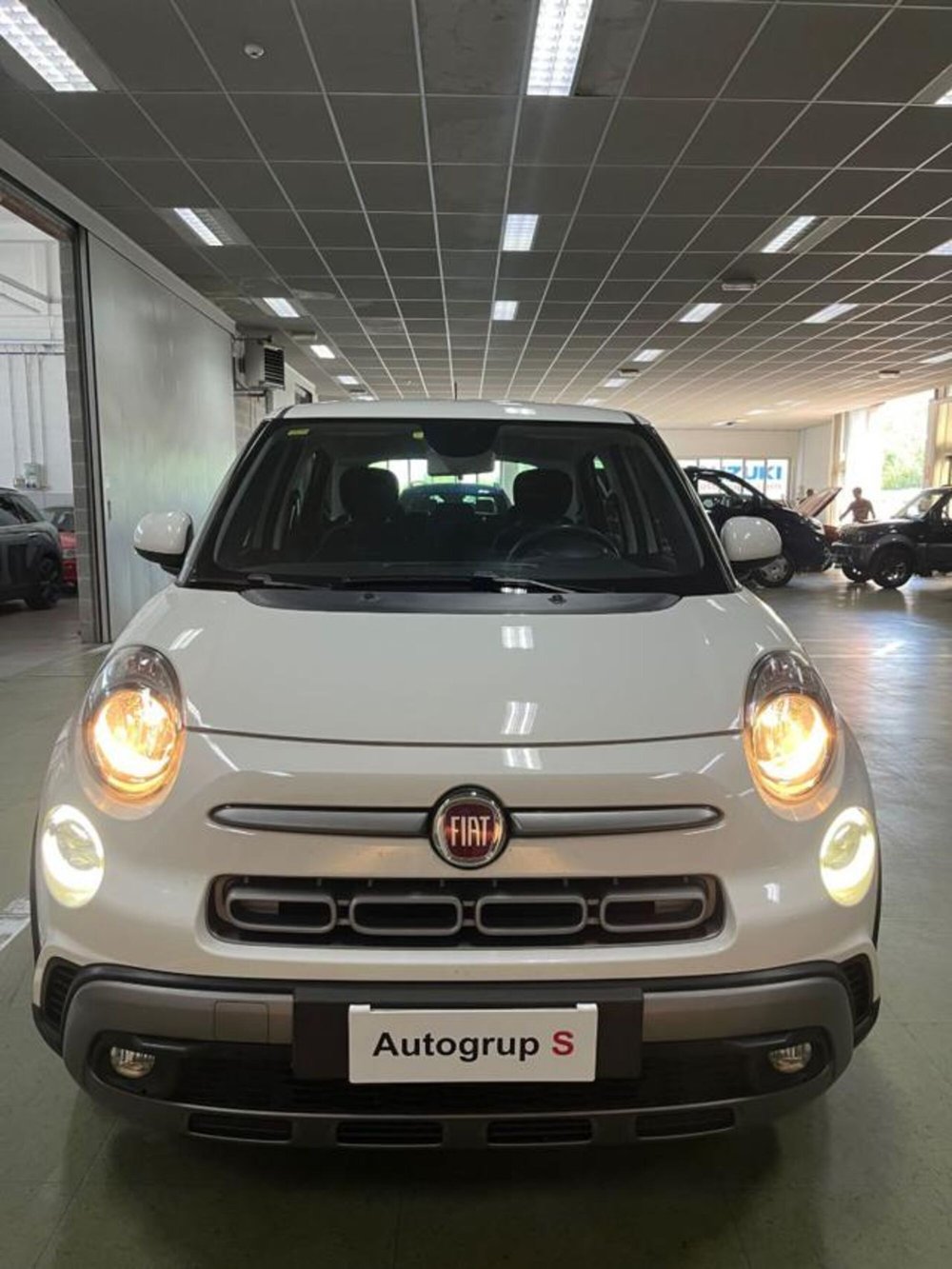 Fiat 500L usata a Torino (4)